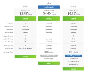 Bluehost Shared Hosting Plan Details